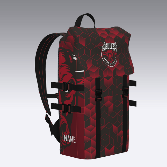 Everest Back Pack