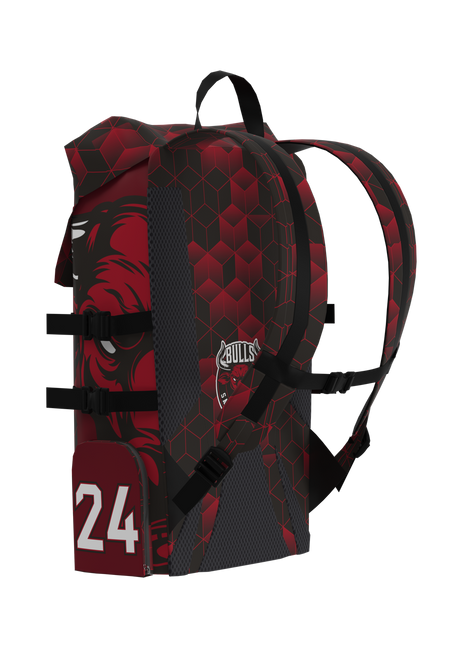 Everest Back Pack