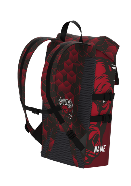 Everest Back Pack
