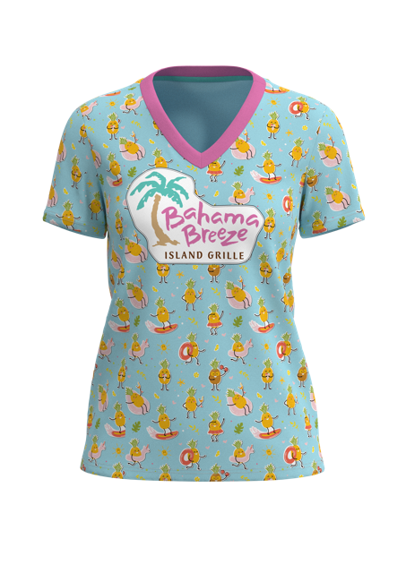 Women's All Day Short Sleeve Deep V-Neck - 4-Way Standard  Fit
